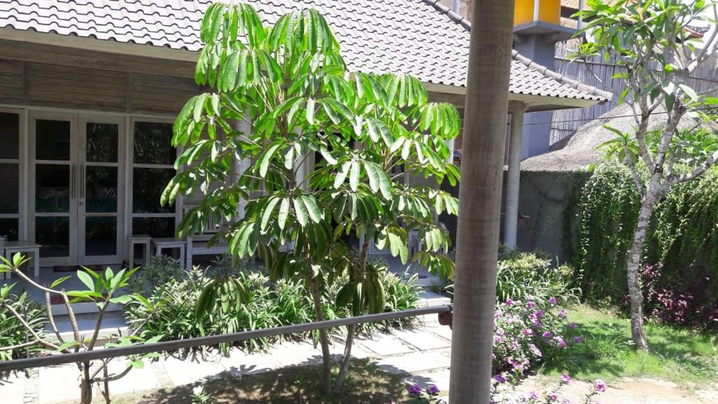 Vista Huts Lembongan Otel Nusa Lembongan Dış mekan fotoğraf